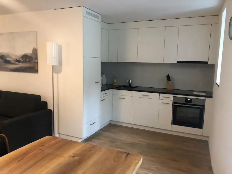 Fantastic 2Br Flat Close To Paradeplatz - Canal2 Zurich